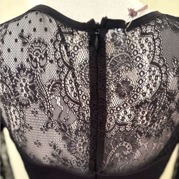 NEW Small Eva Franco by Anthropologie Greer Illusion Black Lace Dress Size 8 - Picture 6 of 16